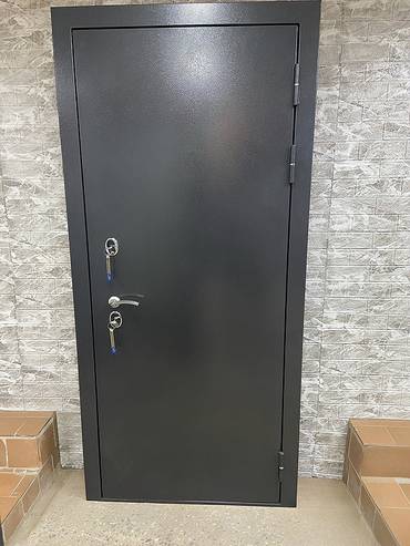 Порошковая стальная дверь